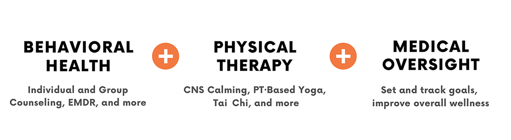 Behavioral Health, Physical Therapy and Medical Oversight
