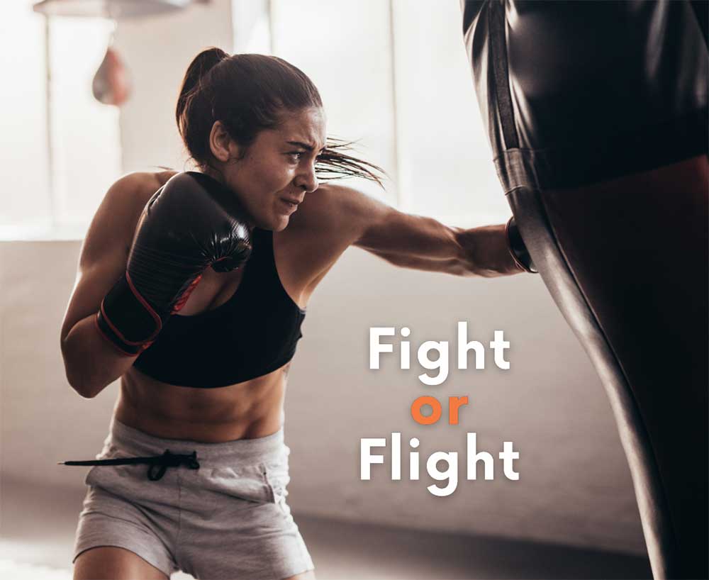 Fight or Flight