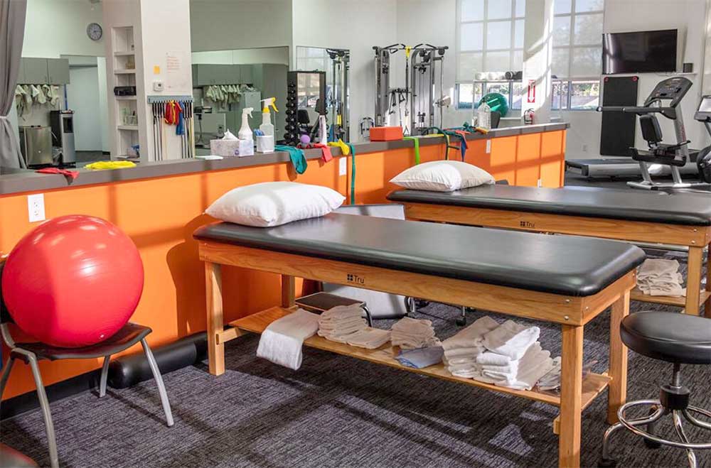 Physical Therapy